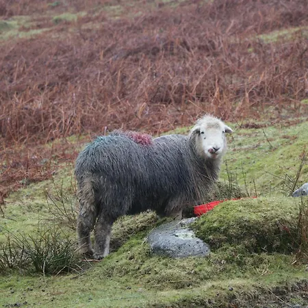 度假居 Whitecroft Nook